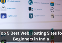 Top 5 Best Web Hosting Sites for Beginners in India
