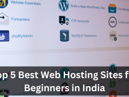 Top 5 Best Web Hosting Sites for Beginners in India